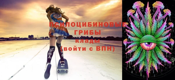 крисы Балахна